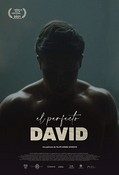 The Perfect David